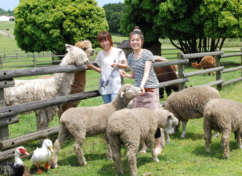 Take a Tour of the Vast Farmmother farm tour