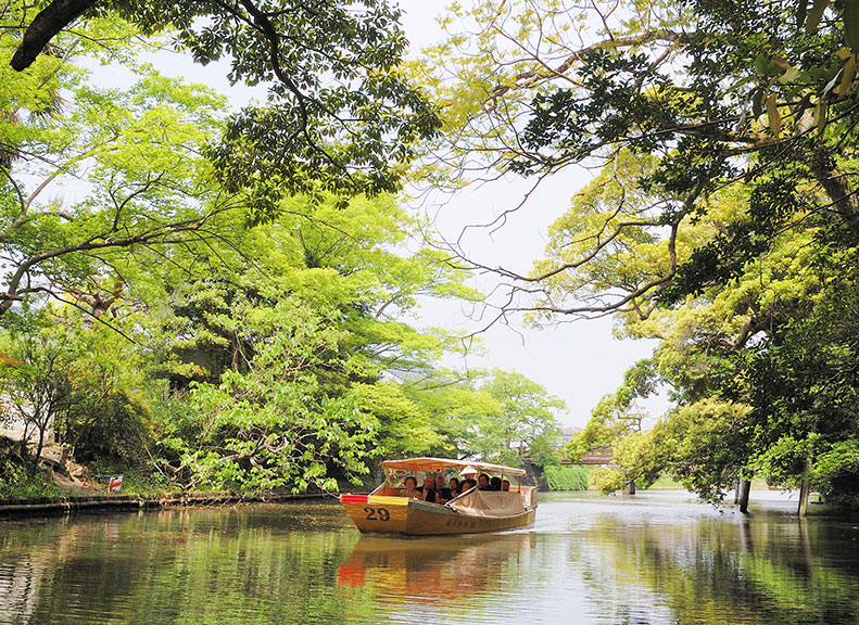 Beautiful in all seasonsLush greenery 