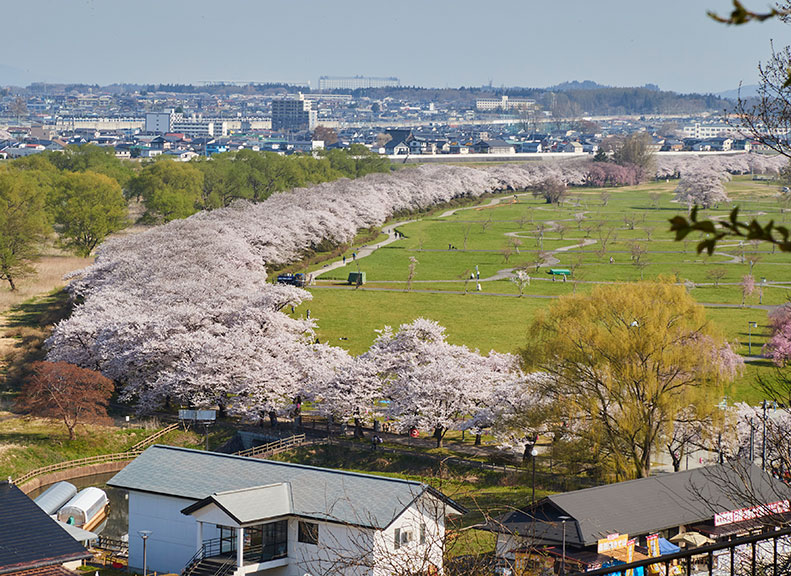 view the scenerySpectacular view spot Jingaoka