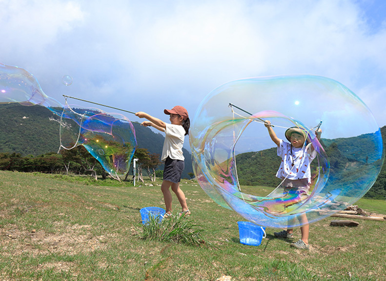 Seasonal Events That Showcase the Beauty of Nature