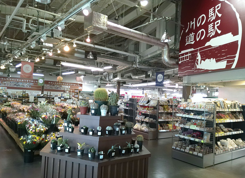 A Products Corner Filled with Regional Specialties