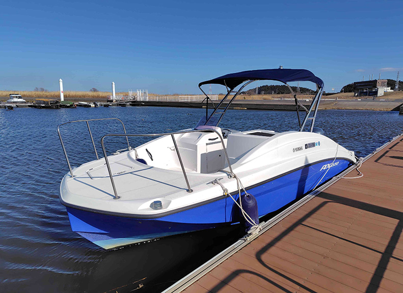 Sightseeing Cruises Across the Majestic Tone River