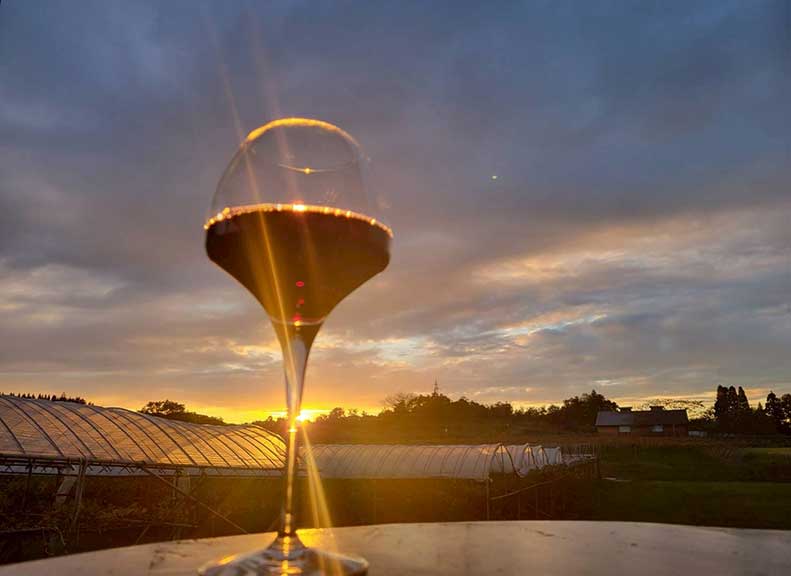 Farm Café Overlooking Expansive Vineyard Landscape