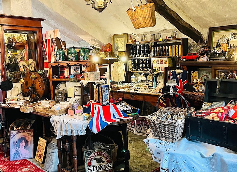 Souvenir Shopping and Location Rental Services