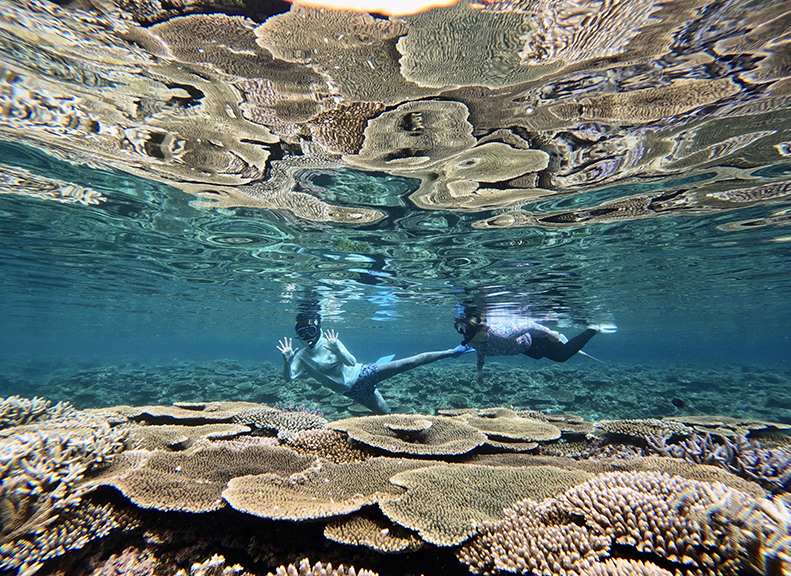 Discover Diverse Underwater Scenery in Crystal-Clear Waters
