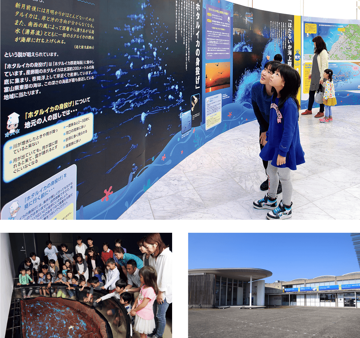 Sightseeing Hotaruika Museum Be enthralled by a natural deep-sea light show!