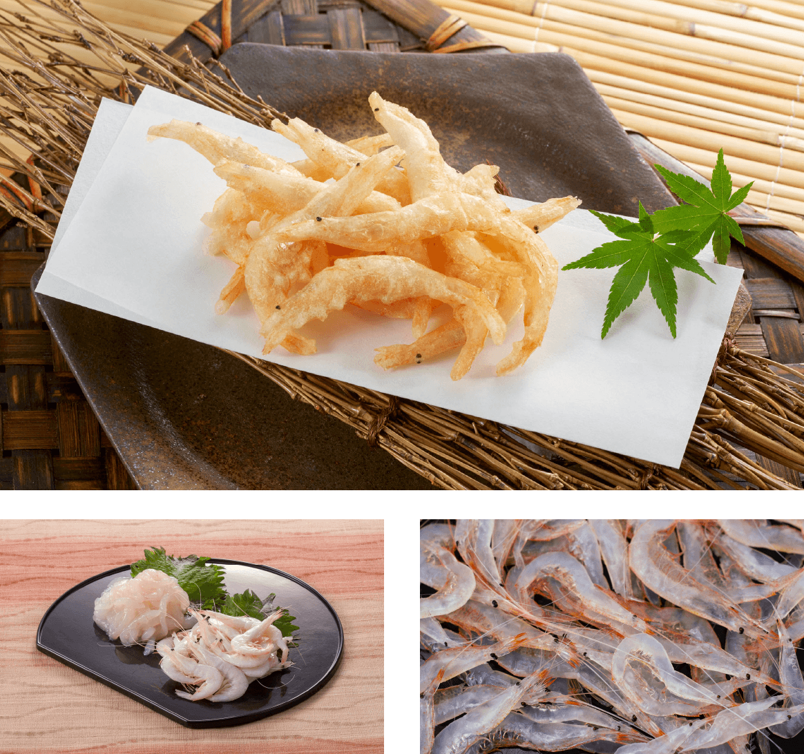 Food Japanese glass shrimp The “Jewel of Toyama Bay” is a local exclusive!