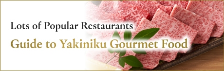 Latest Yakiniku Gourmet Food 