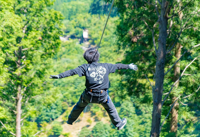 Forest Adventure Kochi