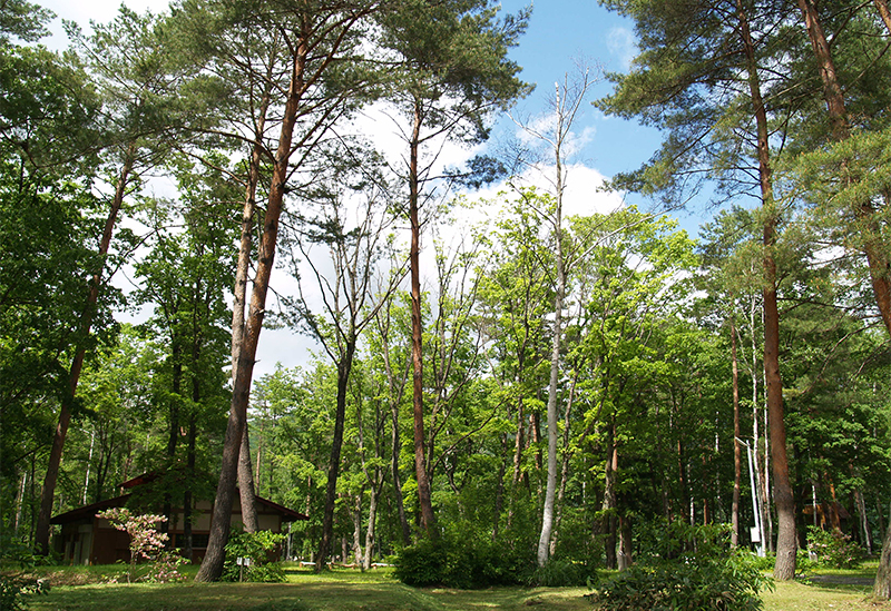 Miboro Lakeside Campsite