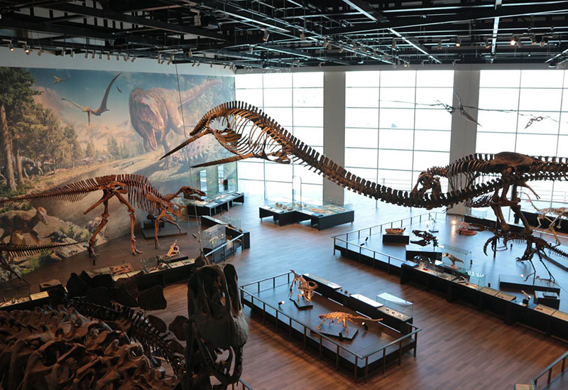 BENEX Dinosaur Museum