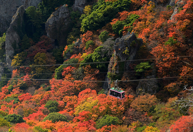 Kankakei Ropeway