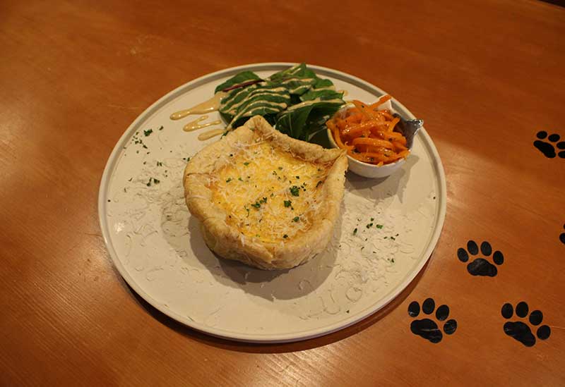 猫バル喜翔 kisho