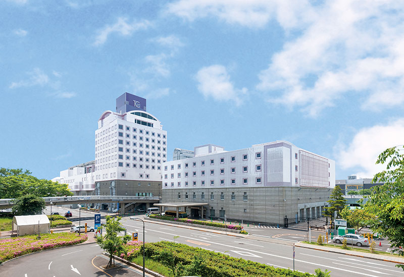 Hotel Nikko Tsukuba