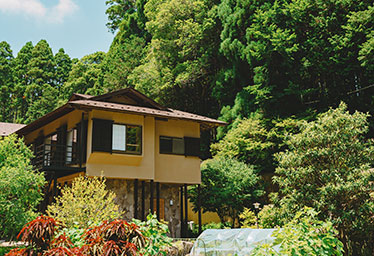 森と空と家