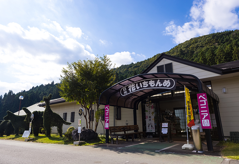 Nikko Hanaichimonme