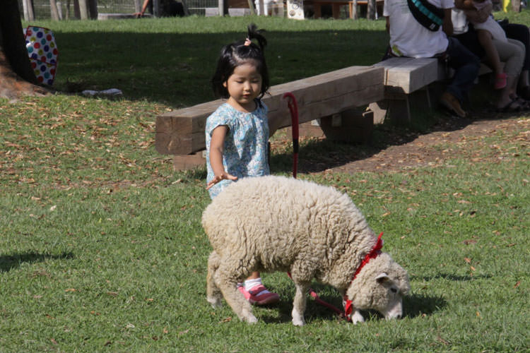 Ikaho Green Farm