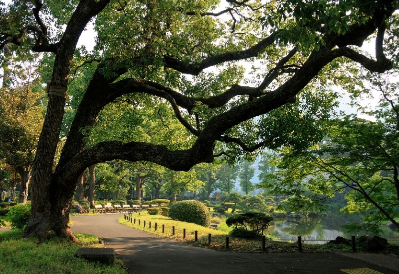 Hibiya Park