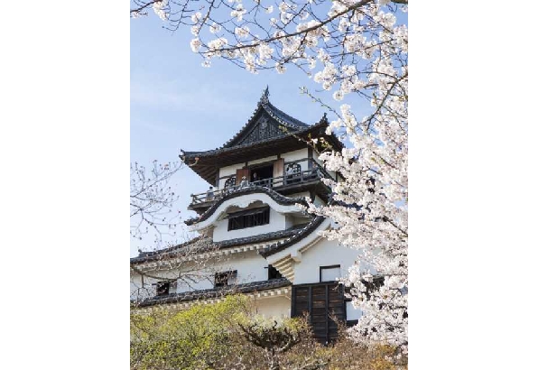 National Treasure Inuyama Castle