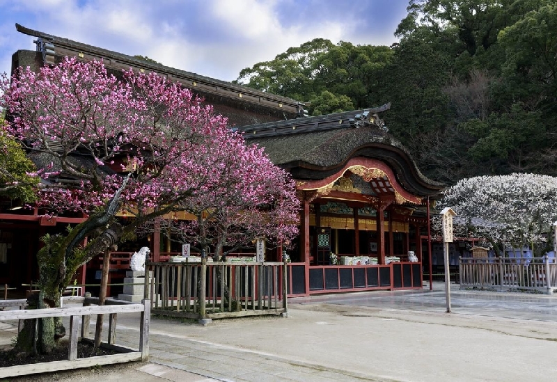 Dazaifu Tenmangu Shrine