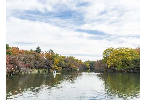 Inokashira Park