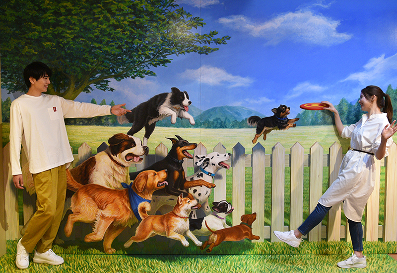 Nasu Trick Art Museum