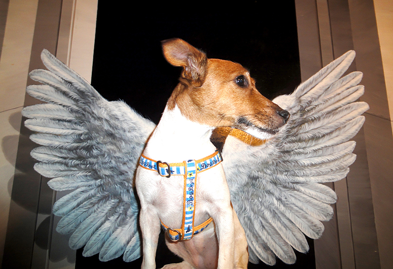 Nasu Trick Art Museum