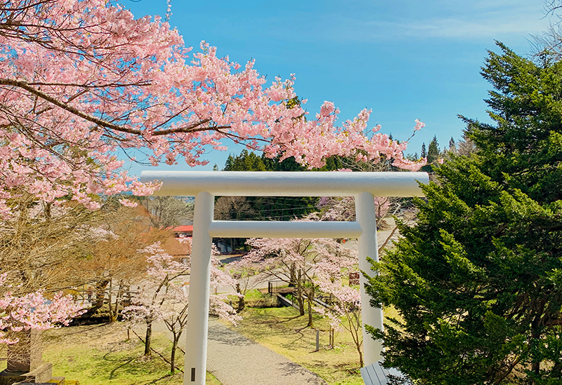 Tsuchitsu Shrine - God of Children and Success