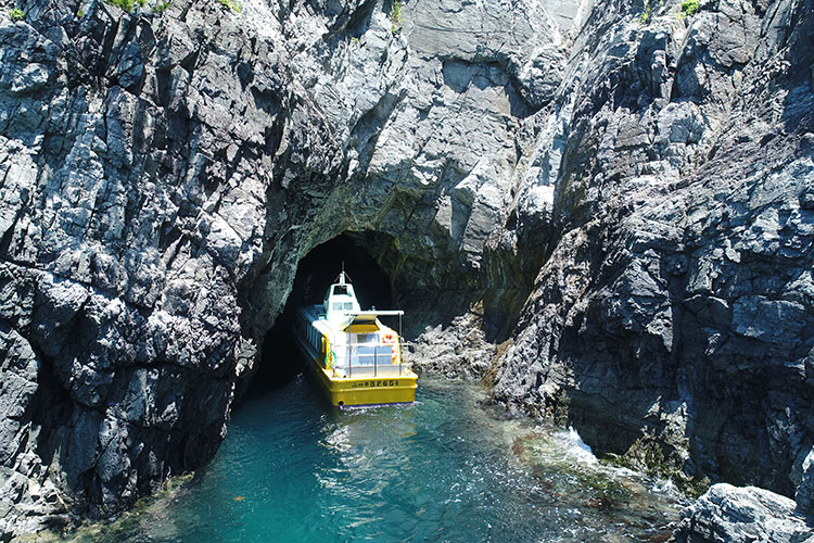 Omi Island sightseeing steamship [Omijima Kankokisen]