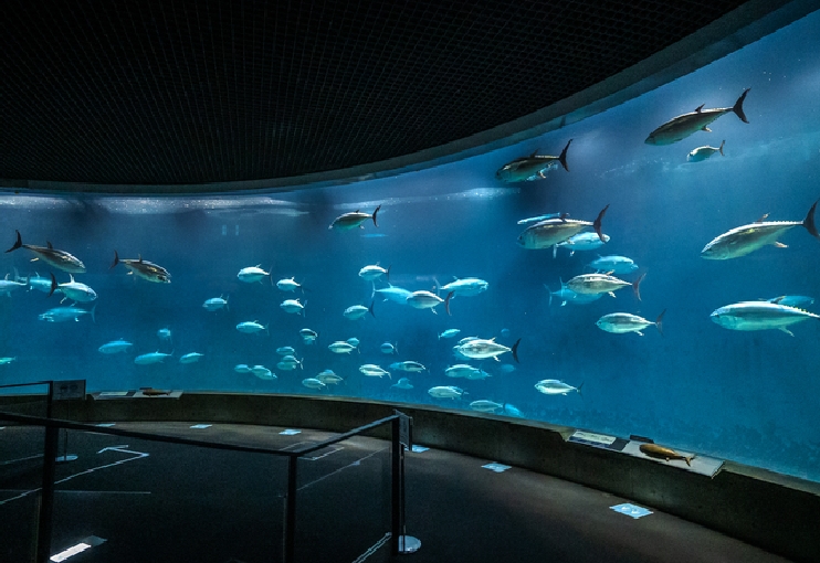 Kasai Rinkai Aquarium, Tokyo