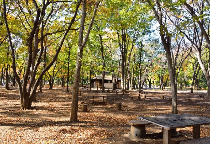 Hikarigaoka Park