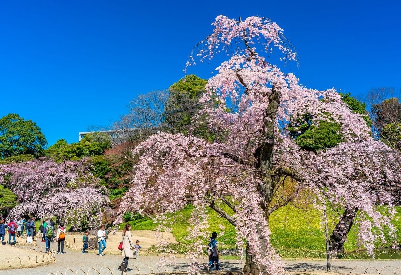 Koishikawa Korakuen