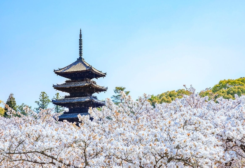 Ninna-ji Temple