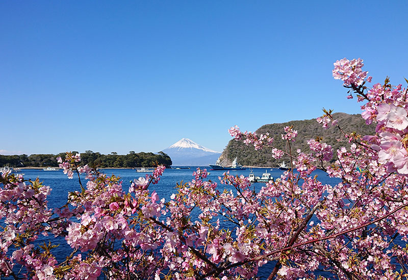 Nishi-Izu Toda Fukusyomaru
