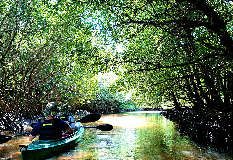 OHCUS Ishigaki Island