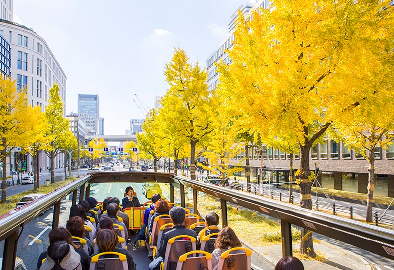 OSAKA SKY VISTA