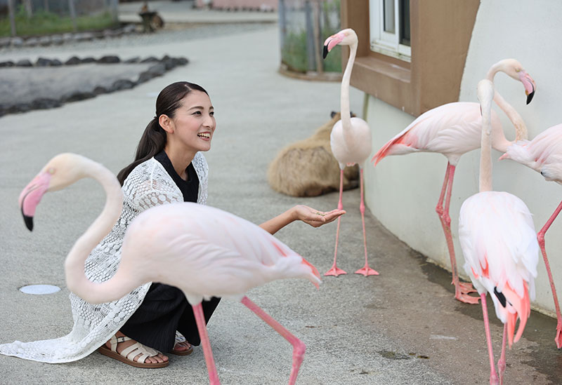 Aso Genki no Mori Produced by ASO Farm Land