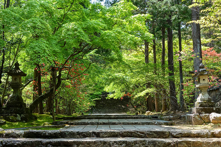 Mt.Godai Chikurinji Temple