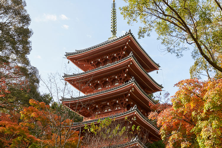 Mt.Godai Chikurinji Temple