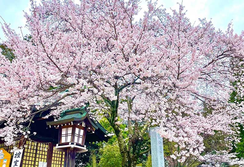 Ibaraki Gokoku Shrine