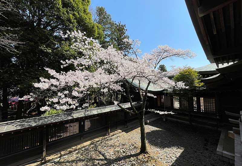 Ibaraki Gokoku Shrine