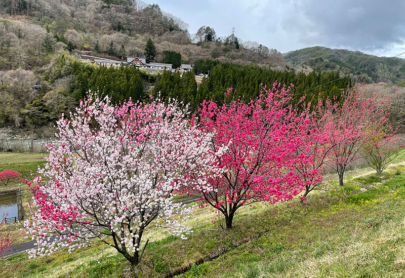 Roadside Station Kiso Fukushima