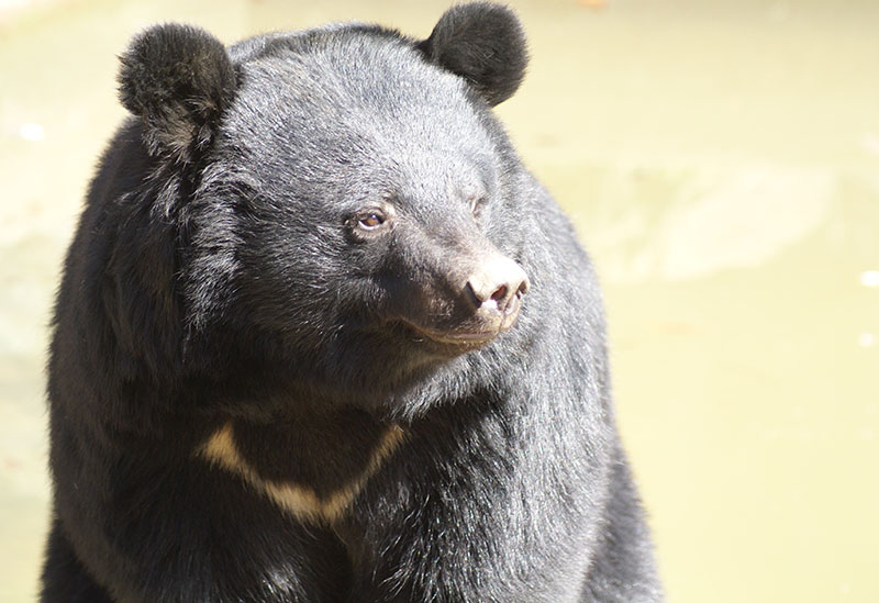 Morioka City Zoological Park ZOOMO