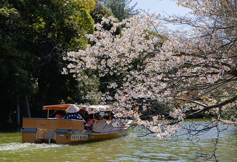 Matsue Horikawa Tour (Matsue Horikawa Pleasure Boat)