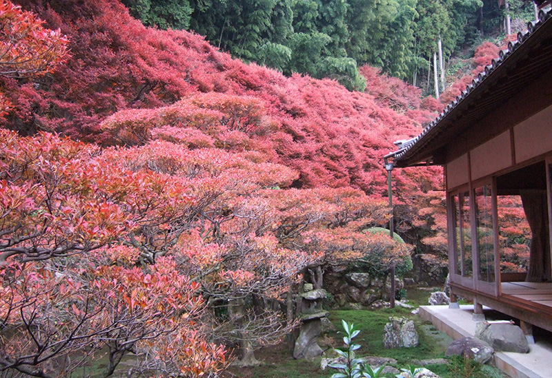 Dairyuji Temple