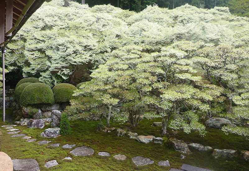 Dairyuji Temple