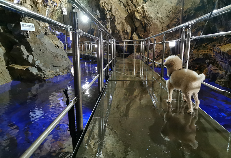 Hida Great Limestone Cave & Ohashi Collection Museum