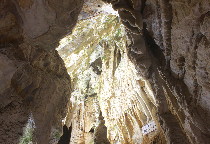 Hida Great Limestone Cave & Ohashi Collection Museum