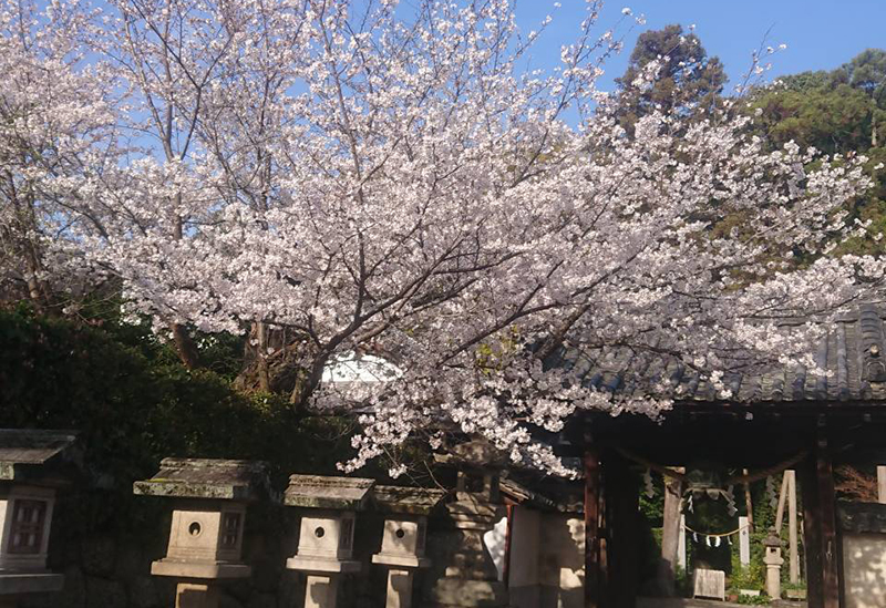 Koriyama Hachiman Shrine