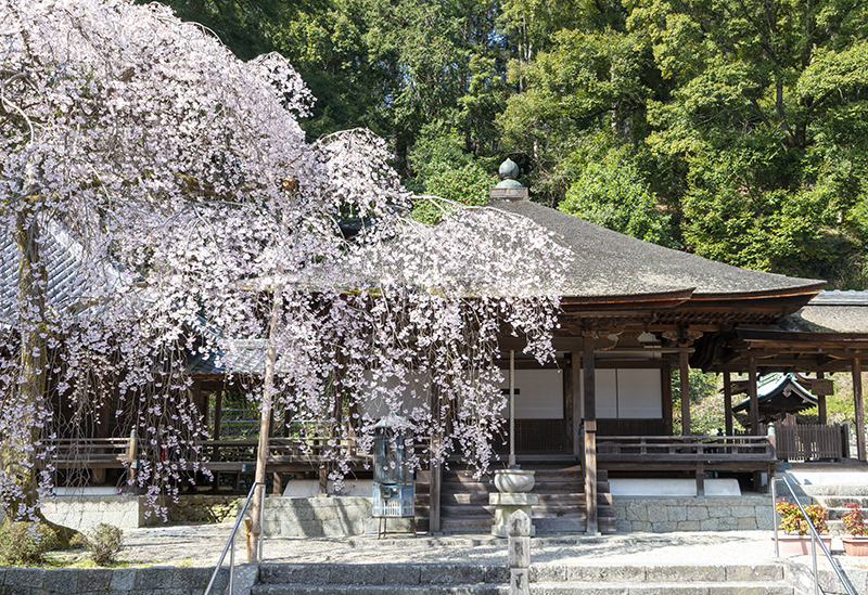 Amanosan Kongoji Temple